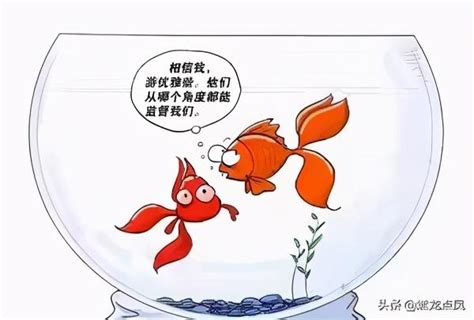 魚缸效應|金魚缸效應:由來,實例,套用,防範,稅務強化,管理學的定律,三個方面。